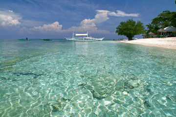 Balicasag Island 2