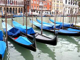 Obraz na płótnie Canvas Niebieskie i czarne gondole na Canal Grande, Wenecja, Włochy
