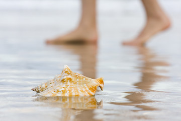 Obraz na płótnie Canvas Shell i bosych stóp na plaży