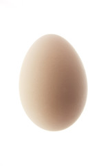 White Egg