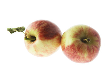 Red Galas Apple