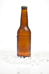 Bottle of beer standing in ice
