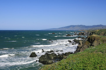 Fototapeta na wymiar Coast of California