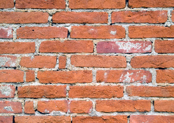 Brick wall texture