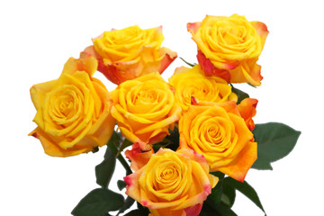 bouquet of yellow roses
