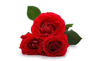 bouquet of red roses