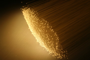 fibre optique