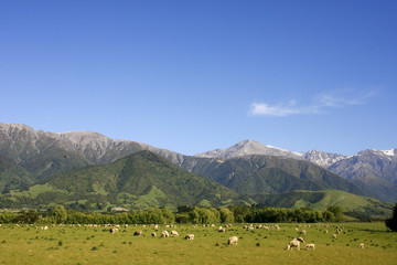 Montagne - Nouvelle Zelande