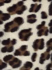 leopard fur fabric
