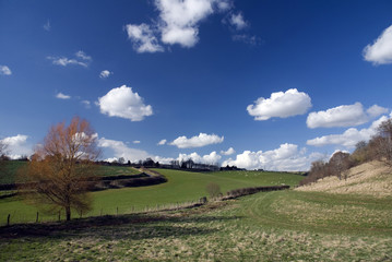 Landscape in Cotswold. England