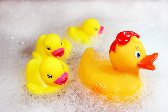 family of yellow rubber ducks in spume