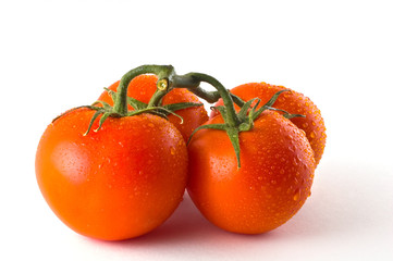 Red ripe tomatoes against white