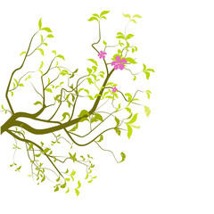 vecteur série - branche d'arbre en été