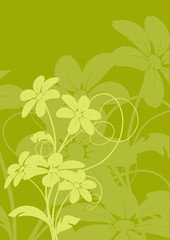vecteur série - bouquet de fleurs sur un fond vert