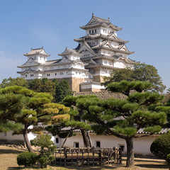 Fototapeta premium Himeji Castle