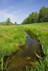 Brook flow landscape