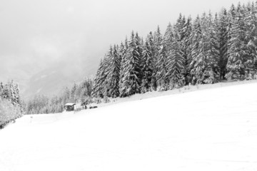 Winters snow blizzard