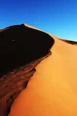 Düne © Galyna Andrushko