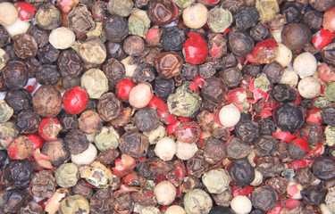 color pepper background