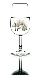 Cream in glass