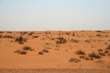 Fototapeta na wymiar Desert in north of Saudi Arabia
