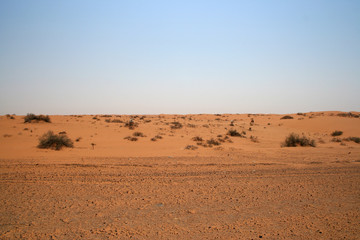 Fototapeta na wymiar Desert in Saudi Arabia