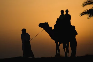 Photo sur Aluminium moyen-Orient Camel Rides in The Dubai Desert