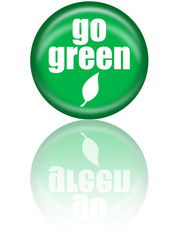 Go Green Leaf Pin with Reflection