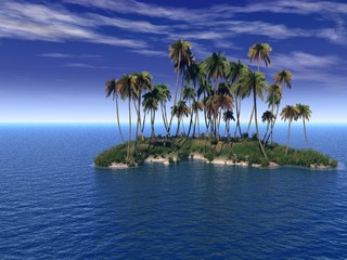 Naklejka premium Palm Island