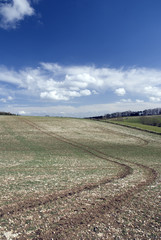 Fototapeta na wymiar Landscape in Cotswold. England