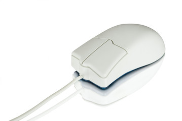 white  computer mouse