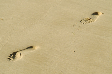 EMPREINTE PAS SABLE