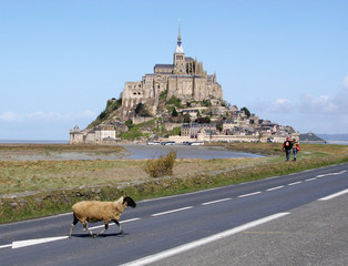 Mont Saint Michel - Traversée de Mouton