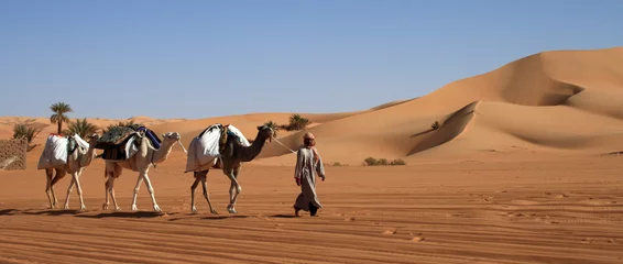 Gordijnen Touaregs dans le Sahara © Rob'Art Photo