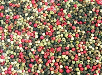 multicolor grains of pepper