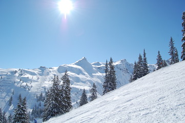 Silvretta Nova