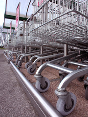 Carrelli della spesa