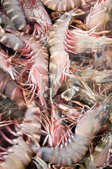 shrimp at marketplace