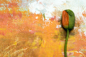 Mohnblüte