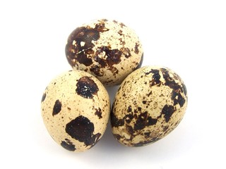 Fototapeta premium Quail egg