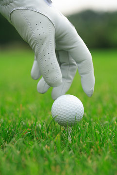 Detail Of Golf Ball And Gloves