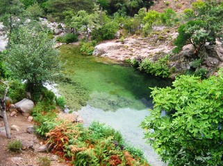 Verdure corse