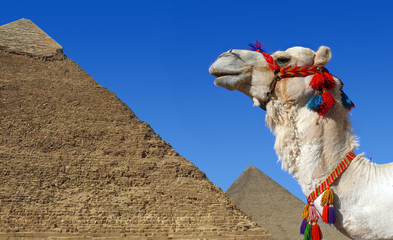 voyage en Egypte