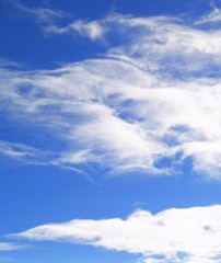Fototapeta premium ciel clairsemé de nuages