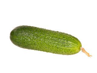 fresh green cucumber isolated on white