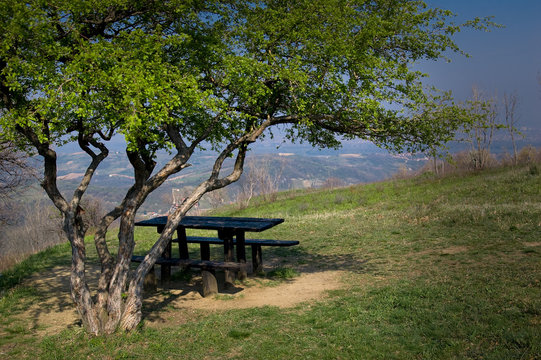 Empty picnic table