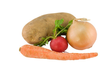 underground vegetables on white