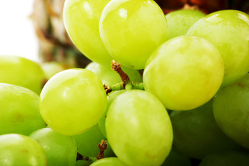 macro grapes