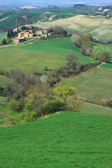 crete senesi