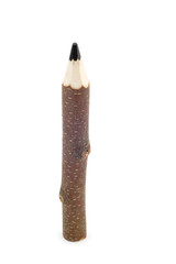 pencil tree